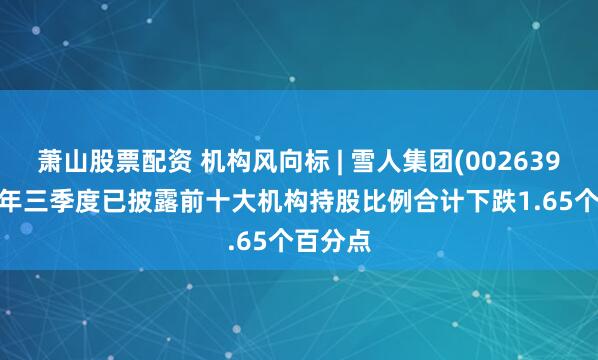 萧山股票配资 机构风向标 | 雪人集团(002639)2025年三季度已披露前十大机构持股比例合计下跌1.65个百分点
