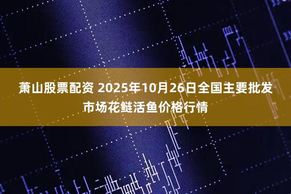 萧山股票配资 2025年10月26日全国主要批发市场花鲢活鱼价格行情